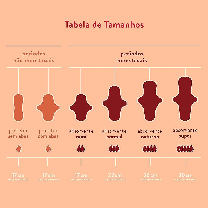 Kit Absorventes Reutilizáveis - Prático (2 normais + 3 protetores)