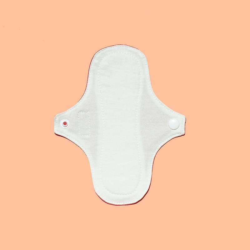 Kit 5 Protetores Diários de Calcinha - com abas