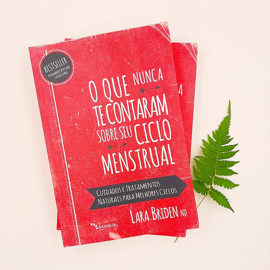 Livro O que nunca te contaram sobre seu ciclo menstrual