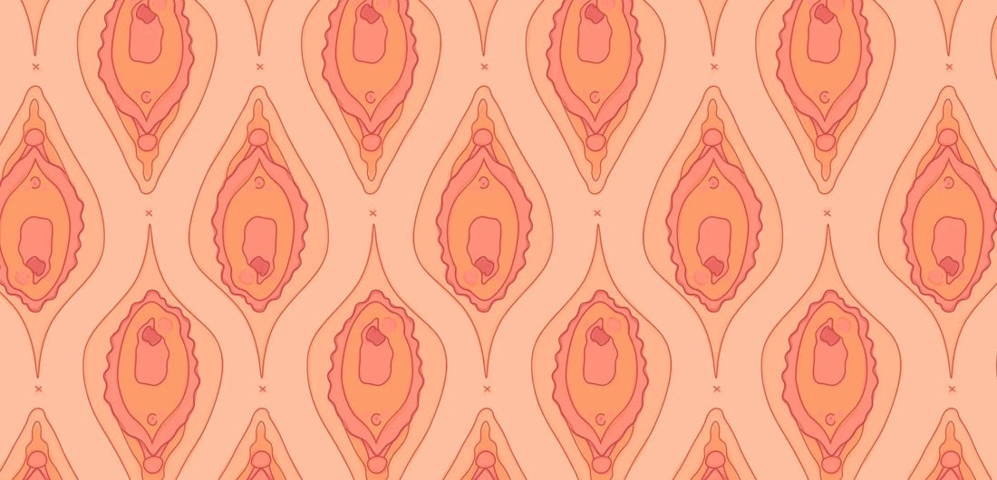 Bartolinite e tudo o que você precisa saber! 👀 O que é, causas, sintomas e tratamento 🔎 Korui