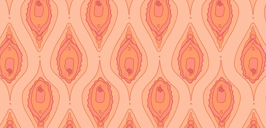 Bartolinite e tudo o que você precisa saber! 👀 O que é, causas, sintomas e tratamento 🔎 Korui