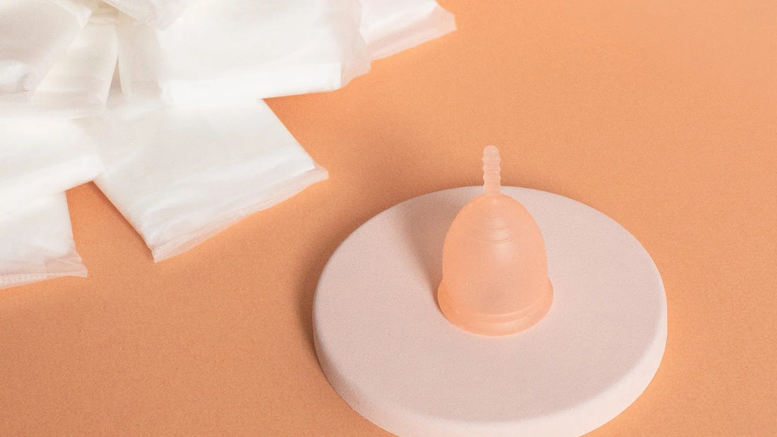 Absorvente descartável vs Itens reutilizáveis Korui