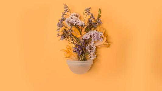 Mudanças do ciclo ao longo da vida 🩸✨ A menstruação em diferentes idades Korui