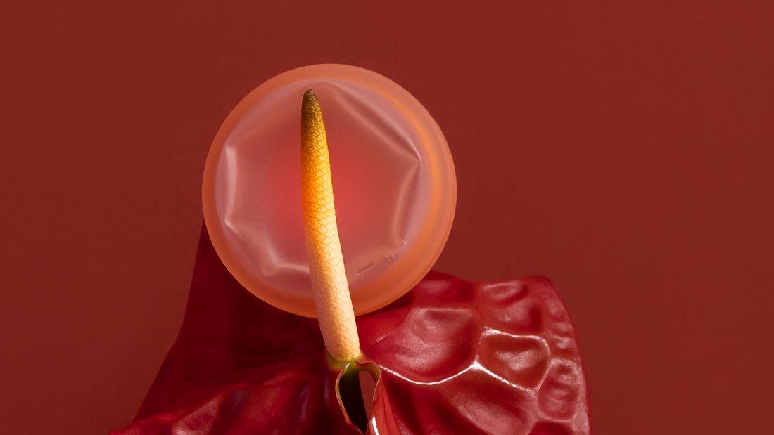 Dá pra usar disco menstrual durante o sexo? Tudo o que precisamos saber pra aproveitar sem bagunça 😎🩸🔥