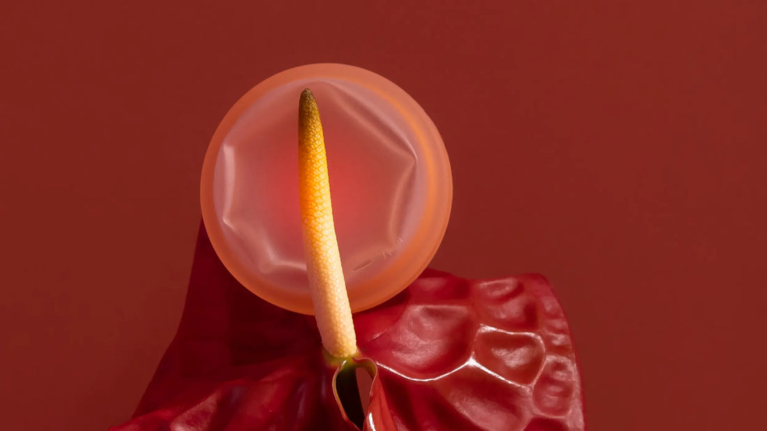 Dá pra usar disco menstrual durante o sexo? Tudo o que precisamos saber pra aproveitar sem bagunça 😎🩸🔥 Korui