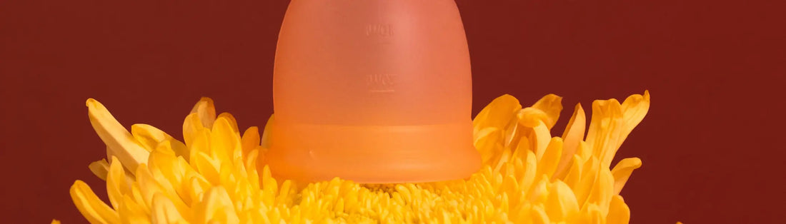 Saiba como o coletor menstrual pode mudar uma vida Korui
