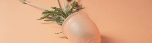 Mitos e verdades sobre o uso do coletor menstrual Korui