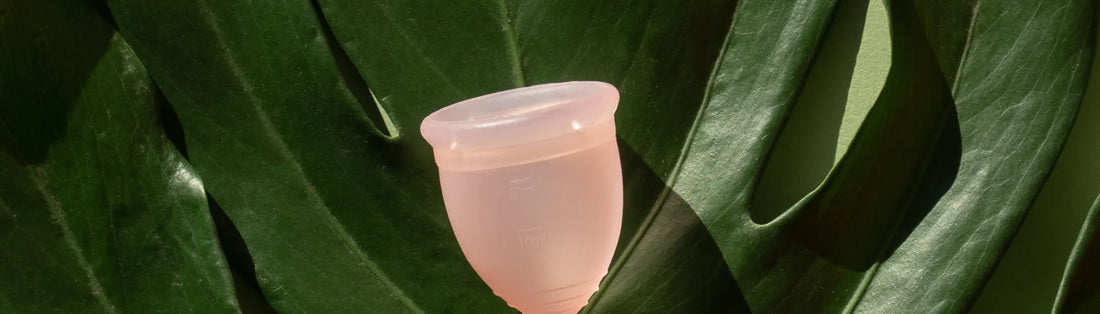 Como ser mais sustentável (muito além da ecobag!) Korui