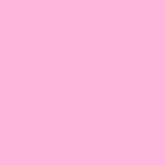 Coletor Menstrual Korui - Normal - Flor de Cerejeira - Rosa